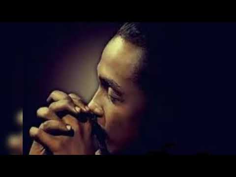 محمود عبد العزيز عني مالم 