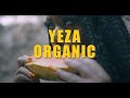 Yeza  rory stonelove  organic lyric