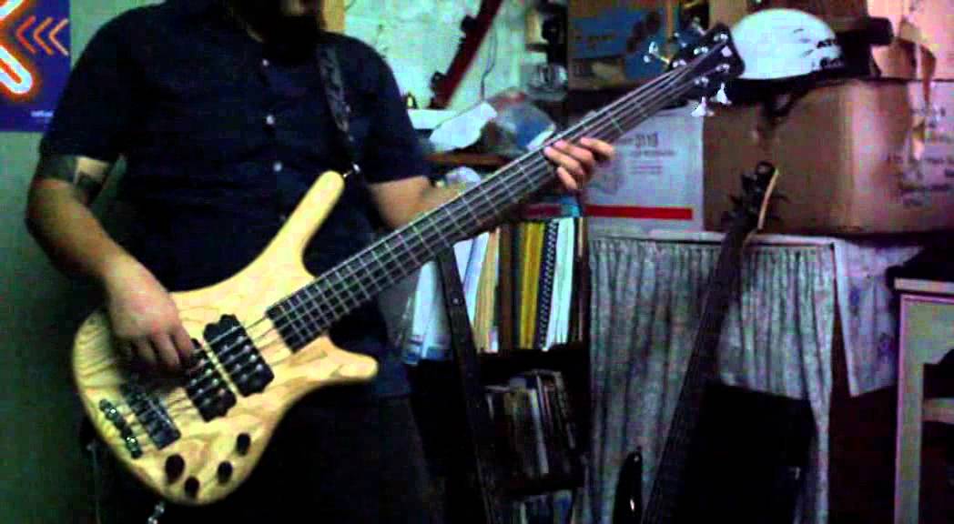 Limp Bizkit Gold Cobra Bass Cover