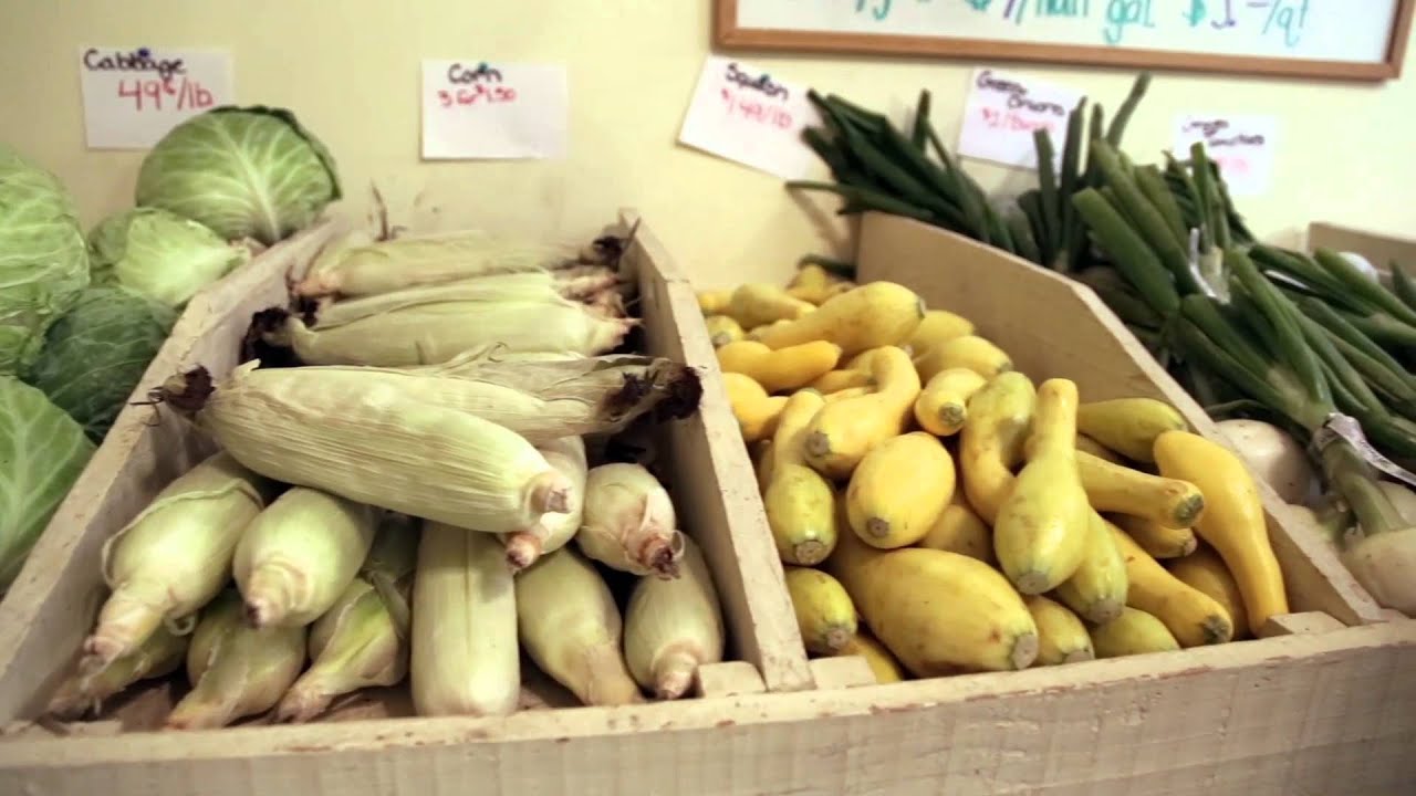 Cotton Hill Farms, Chester, SC YouTube