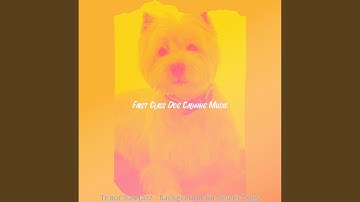 Pulsating Ambience for Calm Doggies