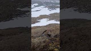 Satisfying falling rocks