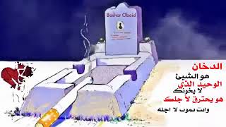 ٢١ مايو ٢٠١٩