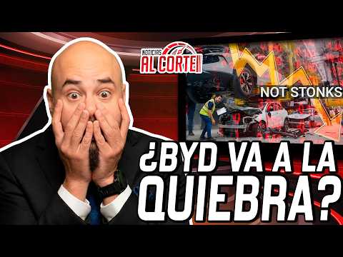 BYD No Longer Dominates China... What's Happening? + They Unveiled the Olinia... and the Criticis...