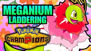 Climbing Ranked with Mega Pyroar! | Pokémon Champions