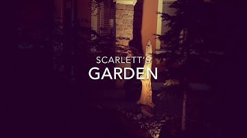 Japanese Maples & Dwarf Conifers in the Front Yard