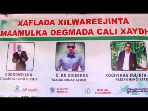 Daawo Xaflada Xil
