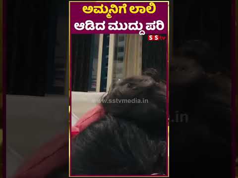 ಅಮ್ಮನಿಗೆ ಲಾಲಿ ಆಡಿದ ಮುದ್ದು ಪರಿ | milana nagraj | darling krishna | SStv ಅಮ್ಮನಿಗೆ ಲಾಲಿ ಆಡಿದ ಮುದ್ದು ಪರಿ | milana nagraj | darling krishna | SStv