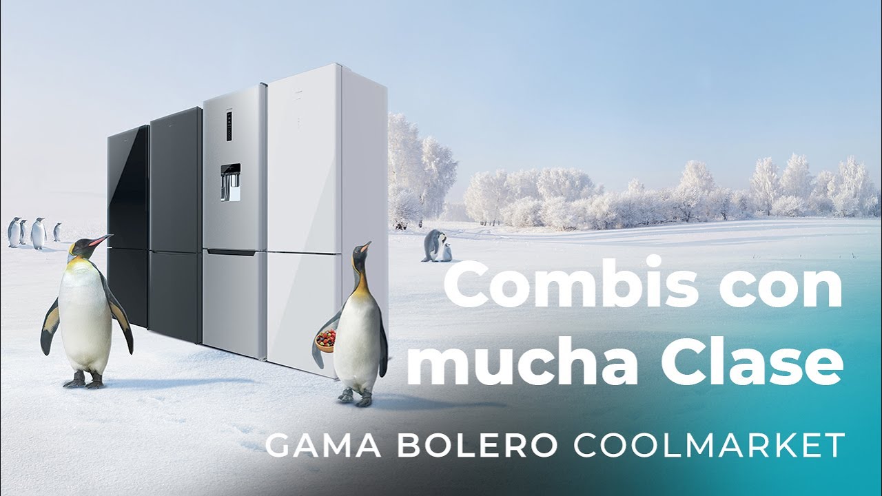 Frigorífico Combi No Frost Cecotec Bolero CoolMarket - Gris