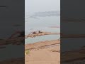 Tata Hitachi super excavator 200 loading two Tata truck and Hyundai excavator 210 working on send