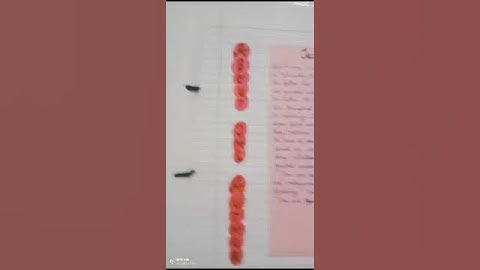 #class12 # project file # the third level