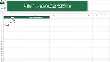无废话计算机技术之 Excel篇-ISLOGICAL函数