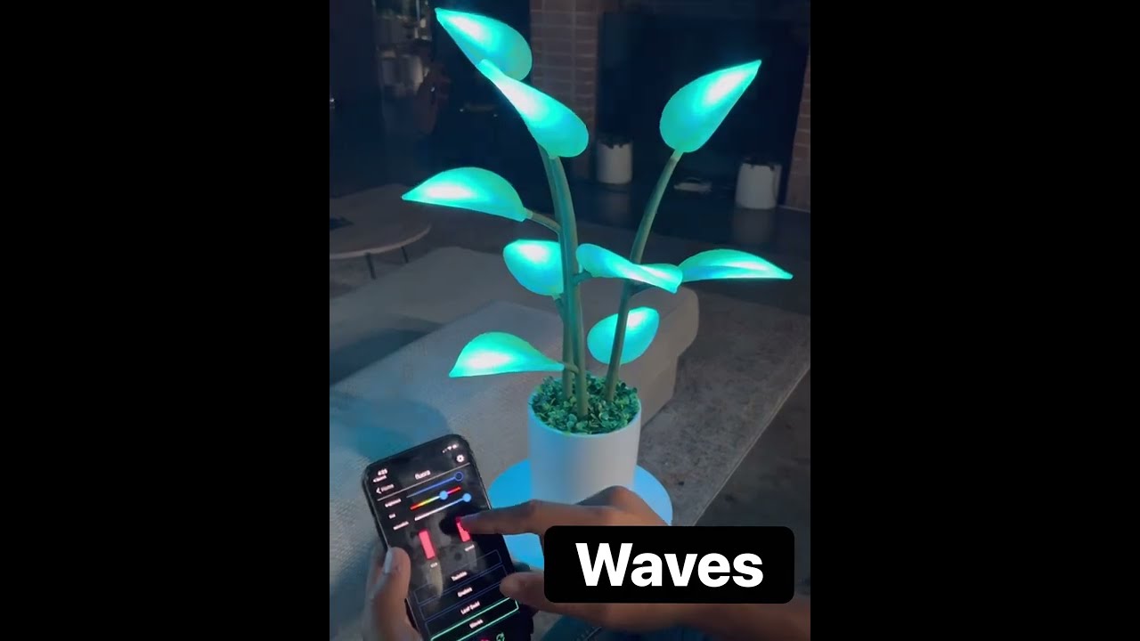 Fluora Mini Content Demo