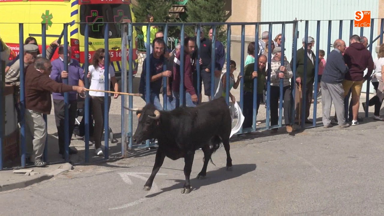 Encierro en Cantalapiedra