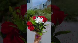 Kullu Man Alaiha Faan