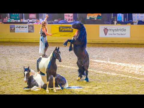 The Mane Event Horse Show - Liberty Classes, Trick Riding & More!