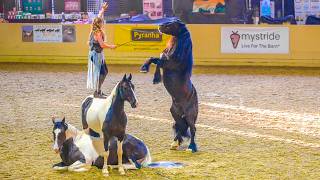 The Mane Event Horse Show - Liberty Classes Trick Riding More