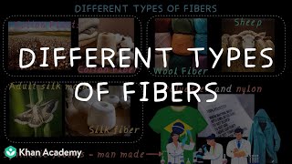 Different Types of Fibers | Middle School sciencen| Khan Academy screenshot 5