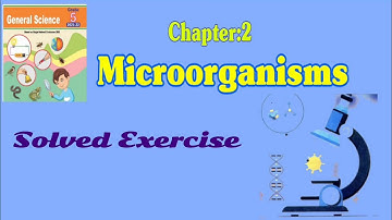 Microorganisms|| General Science class 5 || Chapter 2|| Punjab Curriculum