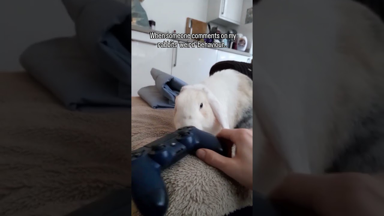 Он идеален 🙌❤️ 