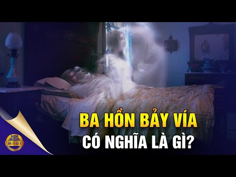 Video Đông Y Nói Ba Hồn Bảy Vía Có Nghĩa Là Gì? - Đông Tây... - youtube