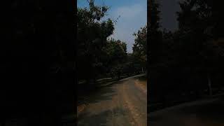 Sunday Short Trip ...