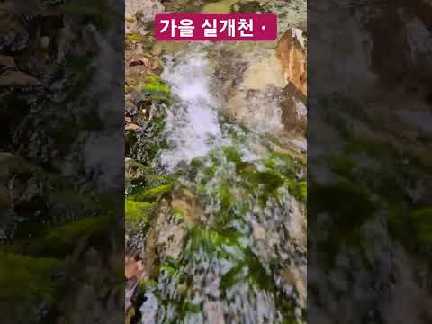 아 ᆢ물이 너무맑네 좋아 !
