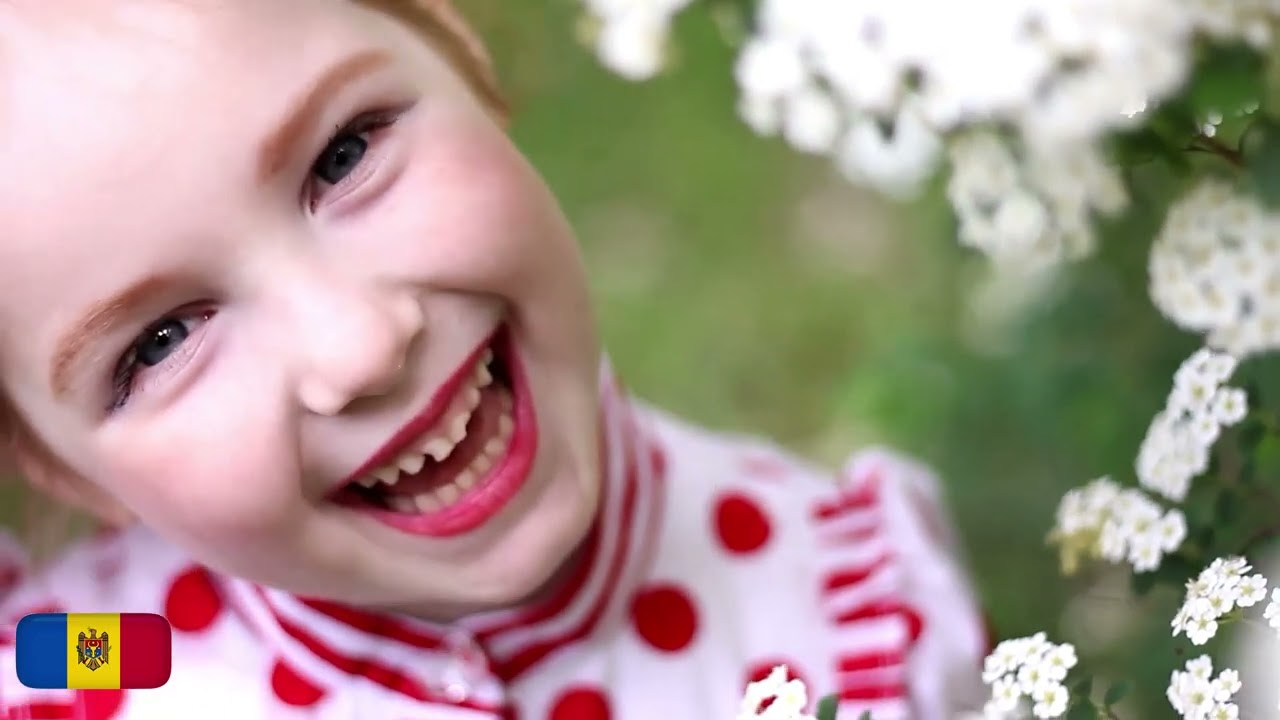 Мирослава Мышкина   Вишня белоснежная