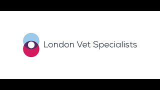 London Vet Specialists Film Reading Session October 2020