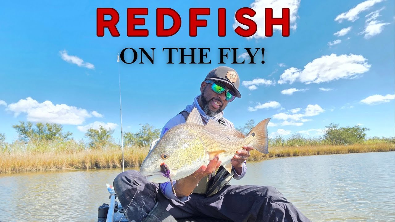 Ловля морского окуня с каяка нахлыстом! | Кокодри, Луизиана