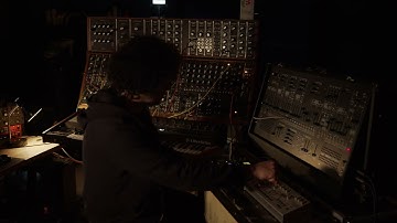 At last - Oberheim OB-X8, ARP 2600, Moog System 55, TB-03, Digitakt