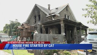 Perry County house fire believed to be started by cat
