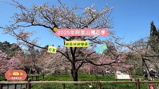 2025年阿里山櫻花季｜看櫻王｜自駕一日遊｜走路賞櫻花 #嘉義  #taiwan  #sakura  #櫻花  #旅行  #小火車  #自然   #阿里山國家森林遊樂園區 #十字路阿嬤草仔粿