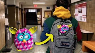 bring your furby to school day!