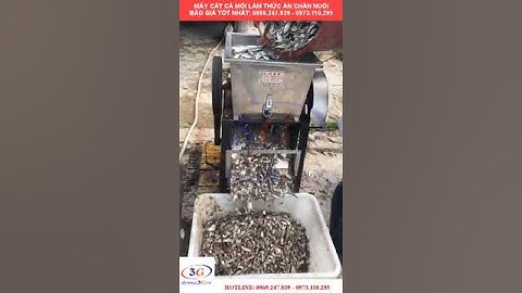 Máy Cắt Nhỏ Cá Thịt Phế Phẩm Làm Thức Ăn Chăn Nuôi - LH: 0969.247.839