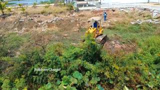 Amazing Working Push Clear Jungle & Meet Big Snake - Bulldozer Clearing Pushing Grass