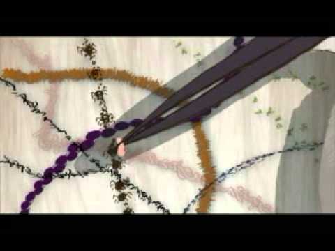 throat 0130.mov