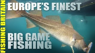 Cod in the Norwegian Sea - Big Game Fishing