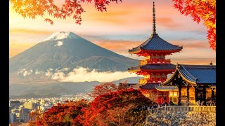 Indo-Pacific Roundtable 2025 | Panel 6: ‘China’s Relations in Northeast Asia’