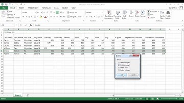 Excel 2013 Delete Cells from a Worksheet
