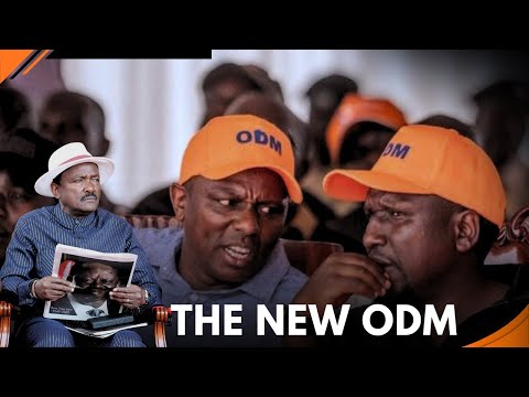 UGUNJA BY ELECTIONS ODM FACES BACKLASH IN RAILA S BACKYARD