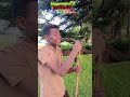 አለም ነይ ነይ #newethiopianmusic #ethiopia #amharic #አማራ #ኢትዮጵያ #ebs #bahirdar #ወሎ #ጎጃም #ጎንደር #ሸዋ #ባህል