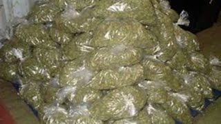 ITS 420 SOMEWHERE
