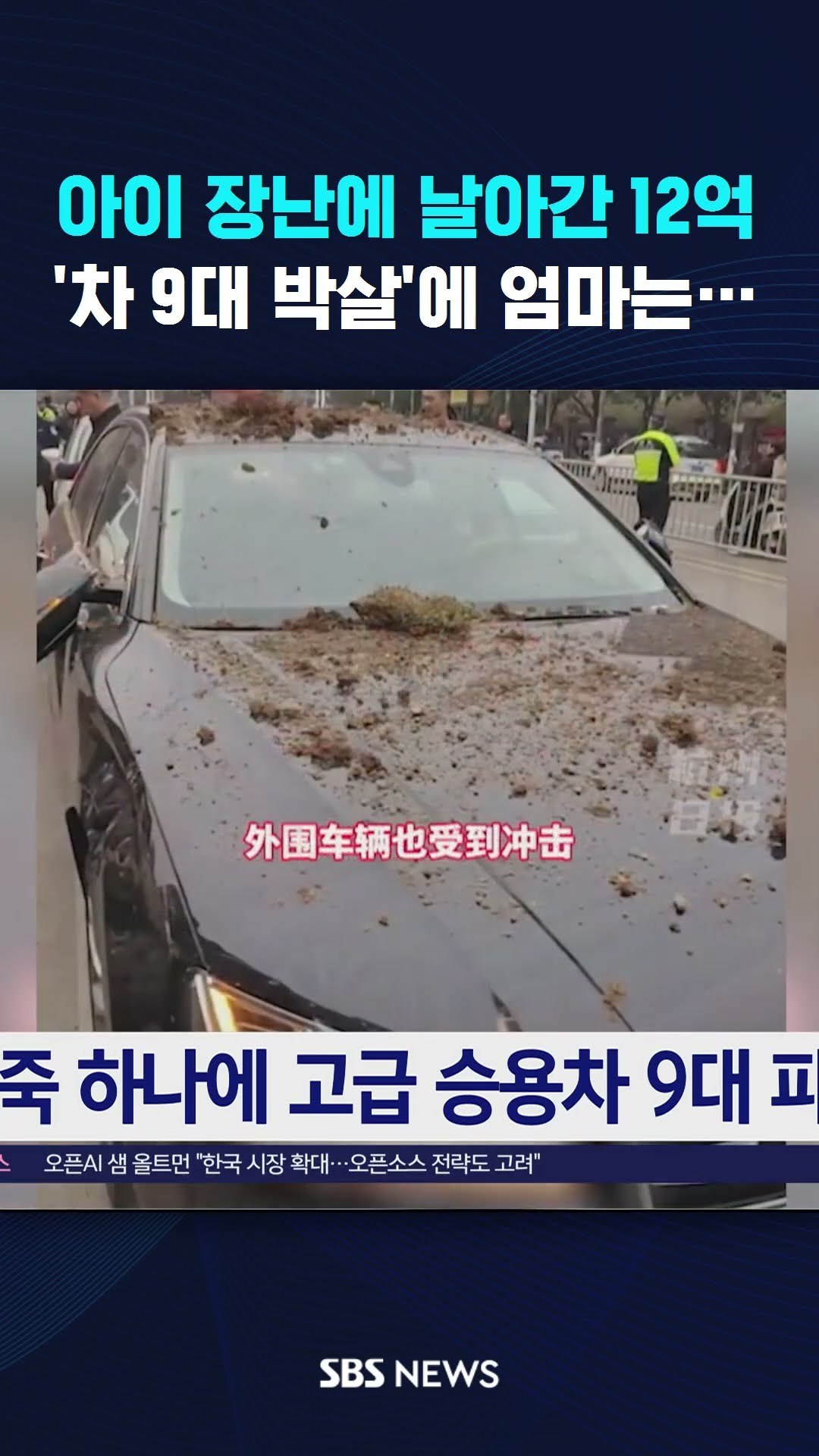 아이 장난에 날아간 12억, '차 9대 박살'에 엄마는… #shorts