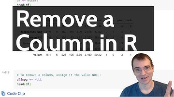 How to Remove a Column From a Data Frame in R