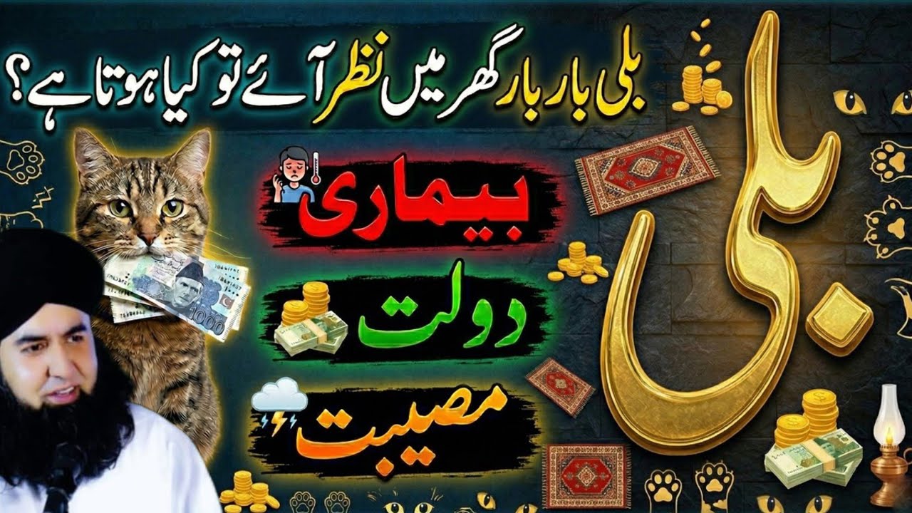 Bili Bar Bar Ghar Mein Nazar Aye To Kya Hota Hai? | Cat Coming To Your Home Every Day? | Watch This.