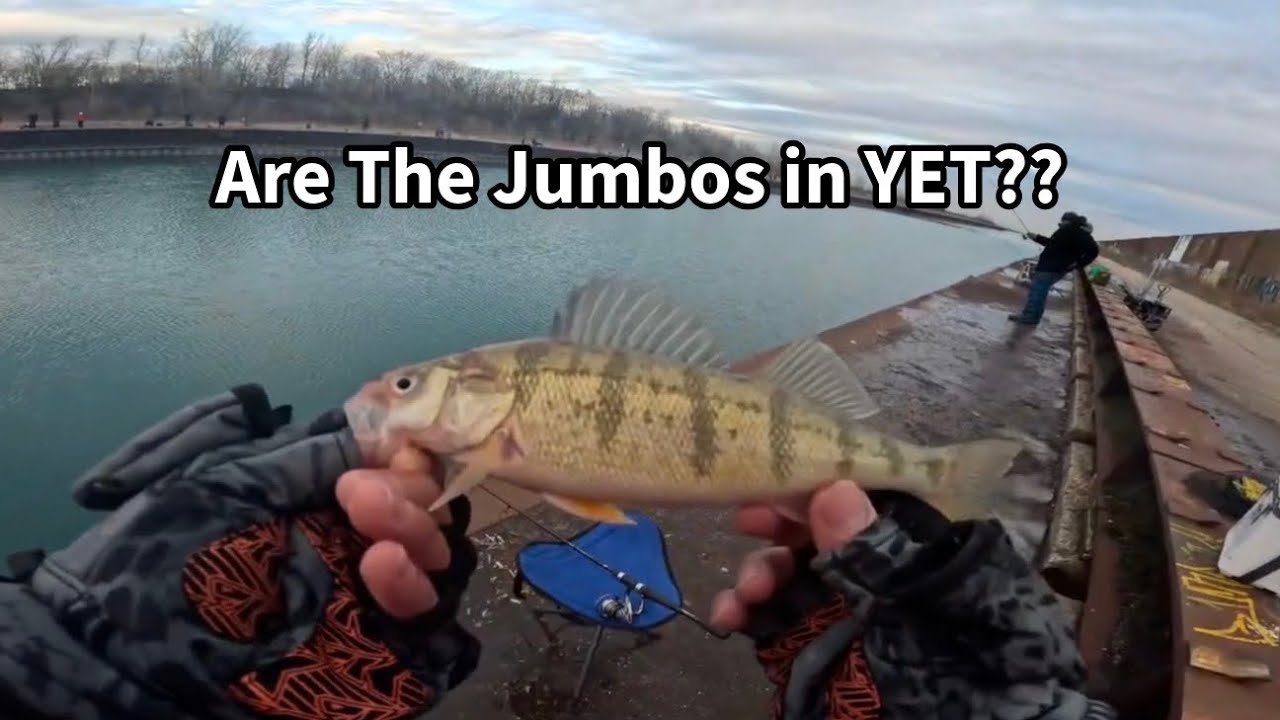 Крупные окуни уже появились?? (Рыбалка на окуня в Чикаго в 2025 году)