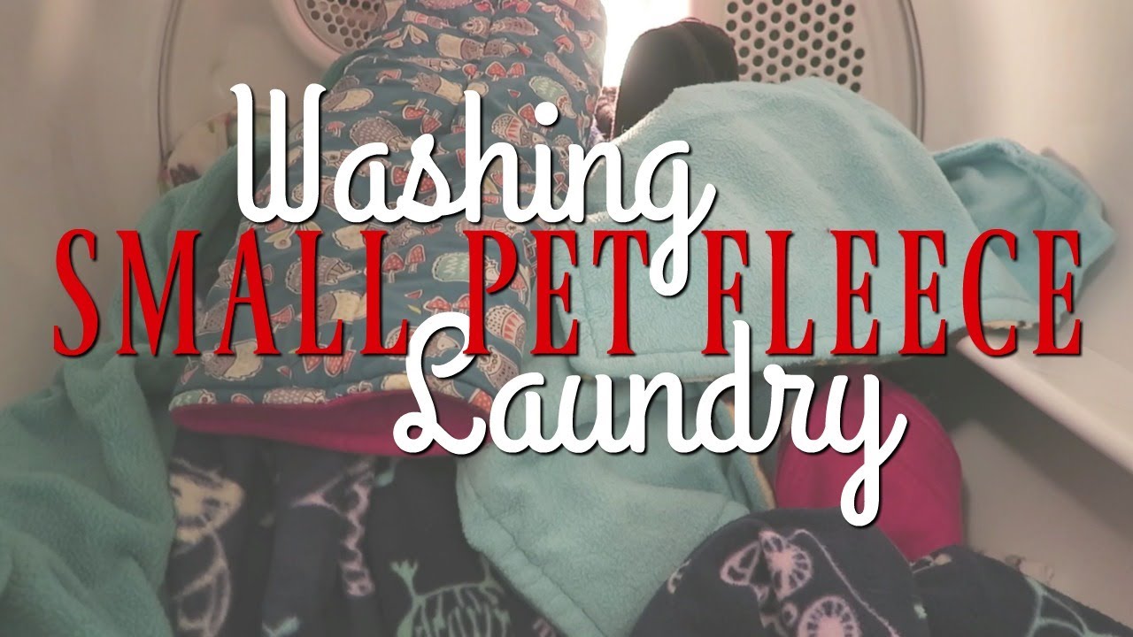 How I Wash Fleece Liners and Cozies for Small Pets YouTube