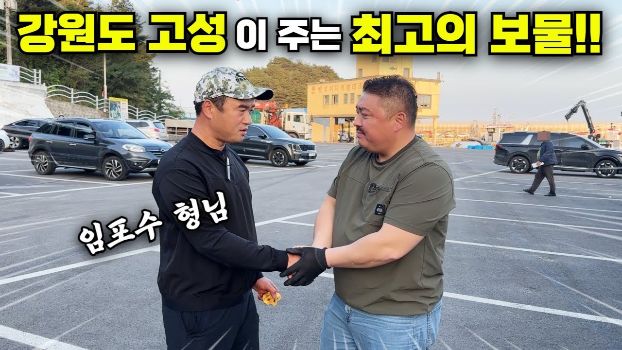 1년에 딱 1번!! 강원도 고성이 주는 최고의 보물 직접 먹어보자!! (with. 임포수 형님 꿀벌 꿀 작업)