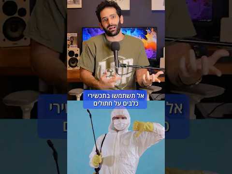 דברים מסוכנים לחתולים - על חתולים ואמפולות לכלבים | איך (לא) להרוג את החתול שלך